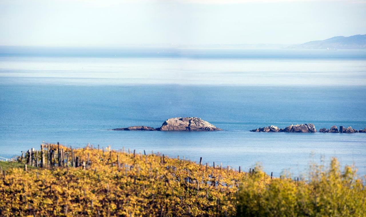 Aterian Pilartxo Enea Apartament *